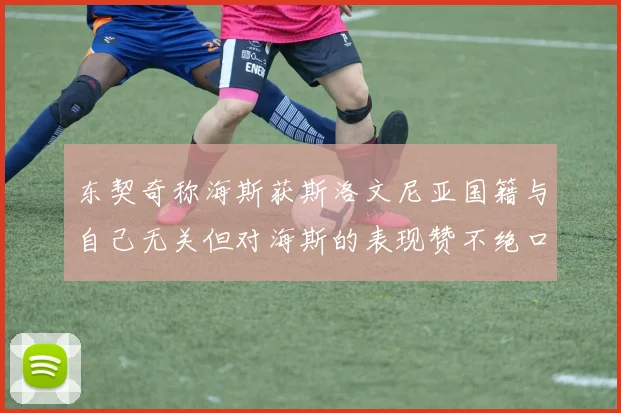 东契奇称海斯获斯洛文尼亚国籍与自己无关但对海斯的表现赞不绝口