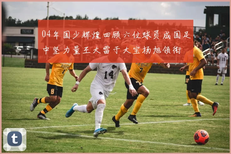 04年国少辉煌回顾六位球员成国足中坚力量王大雷于大宝杨旭领衔
