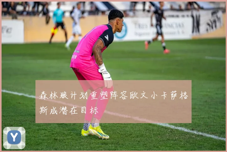 森林狼计划重塑阵容欧文小卡萨格斯成潜在目标