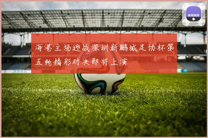 海港主场迎战深圳新鹏城足协杯第五轮精彩对决即将上演